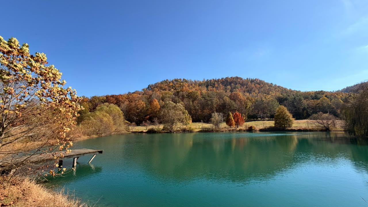 Pond and wooded surroundings